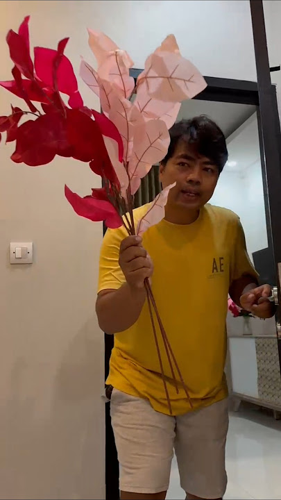 AAdaily - Happy anniversary 🥰🥰 #shortvideo #shorts #reels #reelsinstagram #funny #anniversary