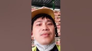 Lò hơi đốt củi mùn cưa ép, lò hơi đốt củi trấu