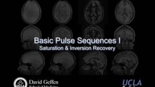 M219 2017 Lecture 6 -Basic Pulse Sequences I (Dr. Daniel Ennis)