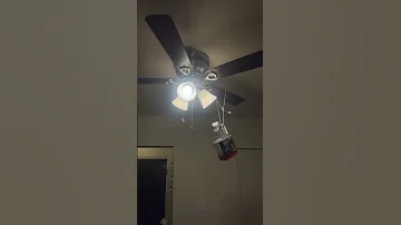 Bam 