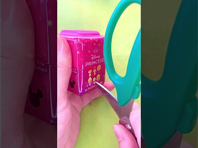 DISNEY Princess 3D Puzzle Eraser Oddly Satisfying ASMR Unboxing Blind Mystery Toy Surprise Pink Cute