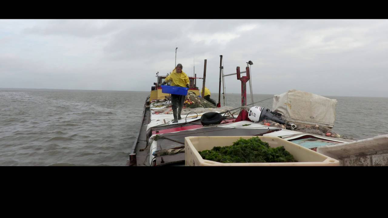 Jan en Barbara - Kustvissers TS31