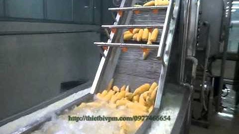 Dây chuyền rửa  chần rau củ quả, máy rửa rau