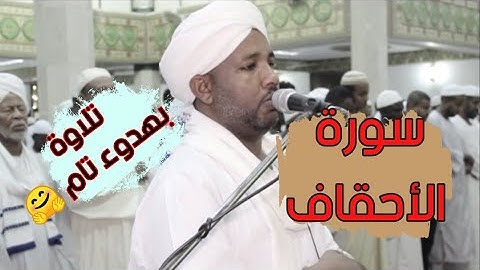 الهدوء والراحة النفسية 😌 | سورة الأحقاف كاملة | تلاوة الشيخ الزين محمد أحمد