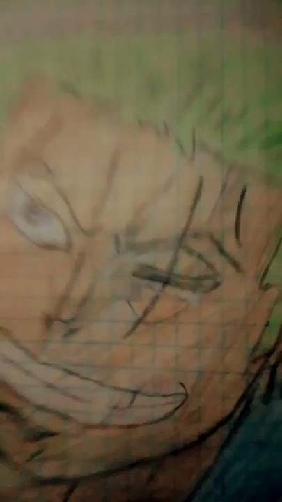 R.ZORO