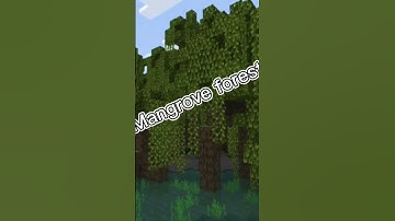 Minecraft biomes transition