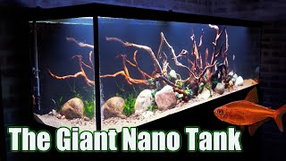 The 125 Gallon Nano Aquarium: The Aquarium Gallery
