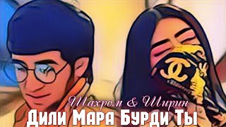 TREK! ШАХРОМ & ШИРИН - ДИЛИ МАРА БУРДИ ТЫ - 2023