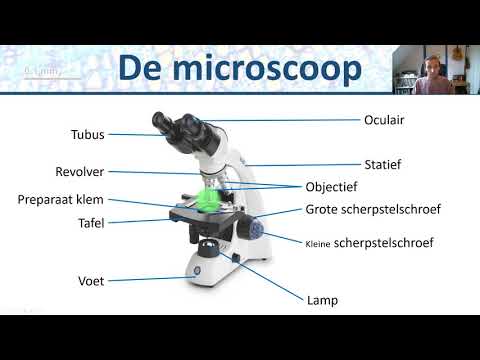 Onderdelen van de microscoop - practica #1