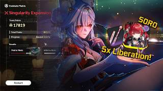 5x Liberation Suoming S0R0 - Hsin S0R1 Endstate Matrix | WUTHERING WAVES