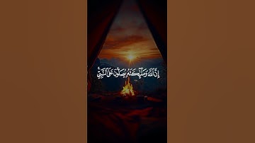 صلوا على رسول الله ﷺ قران كريم #تلاوة_خاشعة #quran #قران #ذكر #اسلام #صلوا_على_رسول_الله