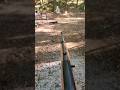 Fastest Ruger 10 22 In The World Fastest Ruger 10 22 In The World