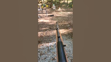 Fastest Ruger 10/22 in the world.
