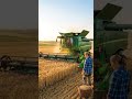 Modern Wheat Harvesting with Combine Harvester | Smart Farming Technology