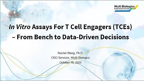 Webinar In Vitro Assays for T Cell Engagers From Bench to Data Driven Decisions