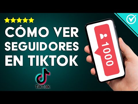 ¿Cómo ver los seguidores de TIKTOK de otra persona? PC y otros dispositivos