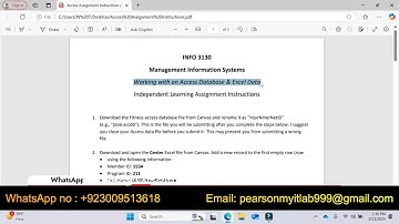 Excel DSS Assignment   | Working with an Excel Decision Support System DSS