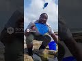 catching animals - Damselfish