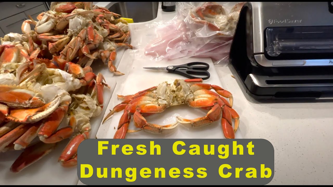 Fresh Caught Dungeness Crab Freezer Prep YouTube