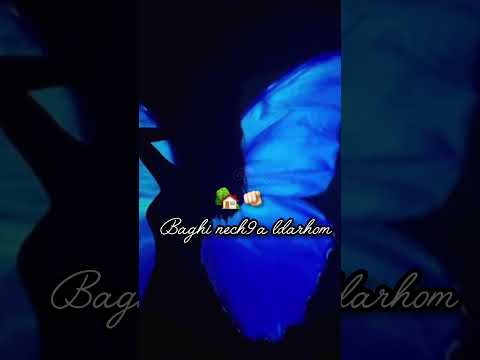 Baghi Nechqa L Darkom Abonne Rai Dzsongs Music Raialgerien Love Song Algeriansong Duet