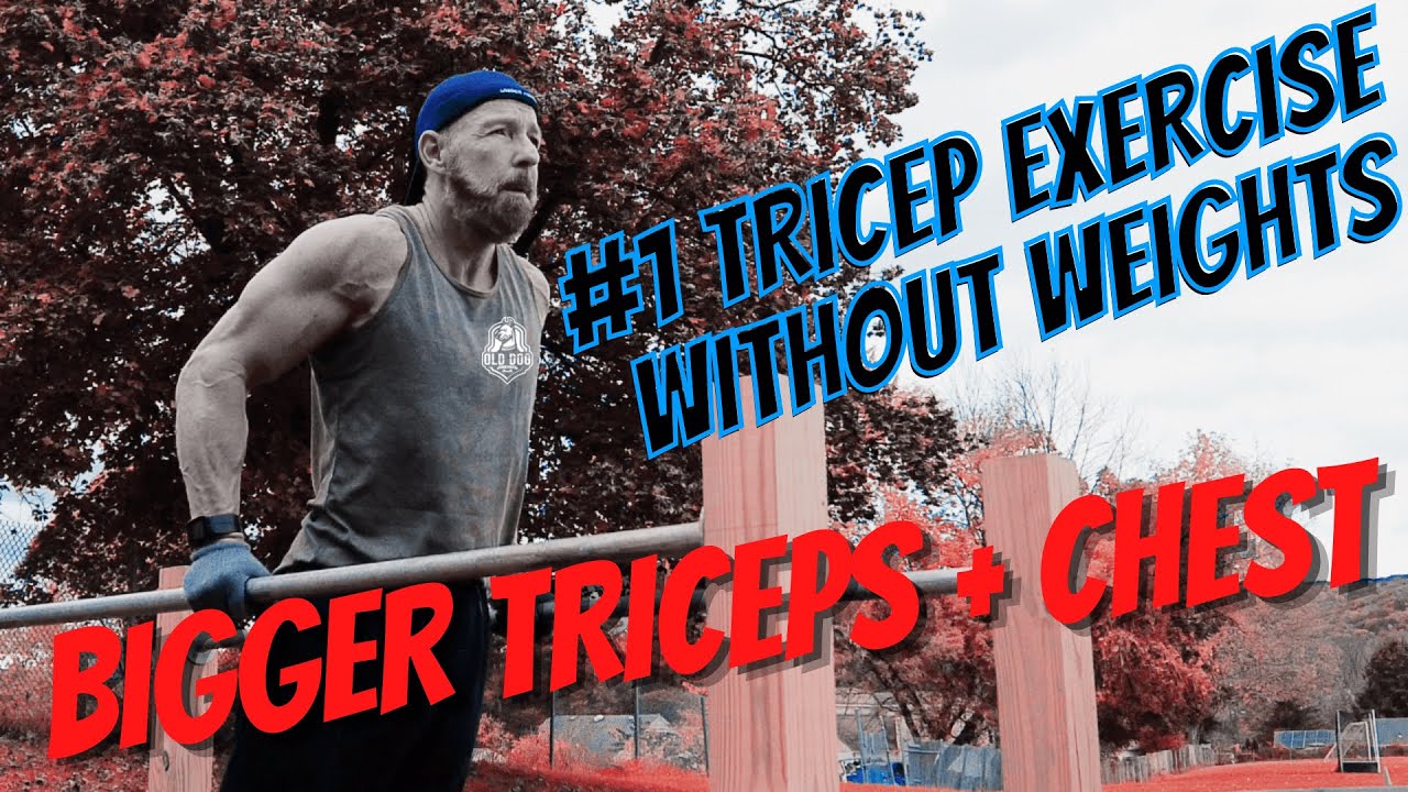 Parallel Bar Chest Tricep Dips Tutorial nogymnoproblem weehawken 