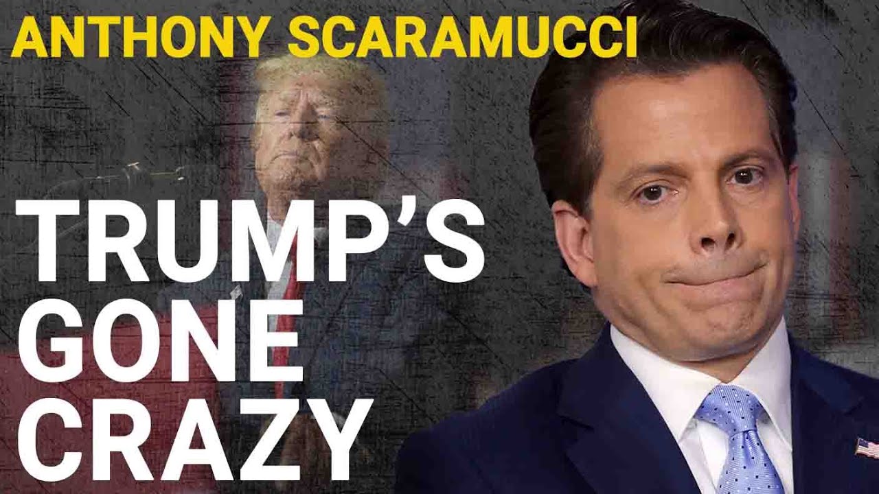 Trump Would Be An ‘Orange Wrecking Ball’ For Business, Says Anthony Scaramucci