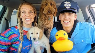 Police SAVES Puppy From Chucky with Car Ride Chase!