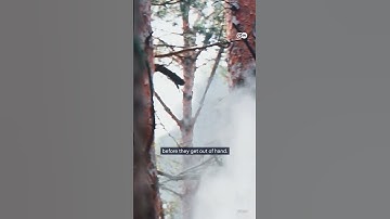 Wildfires: How tech can save you