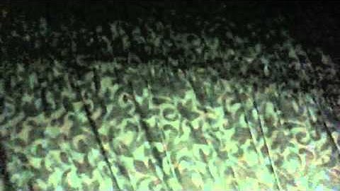 ولد يقراء سوره البقره من ايه 21 - 30