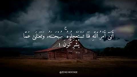 تلاوة هادئة ومرتلة من سورة (الحِجر) للشيخ القارئ/ سعود الشريم.
