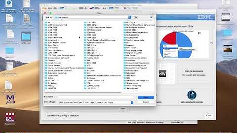 Open a Data File in SPSS