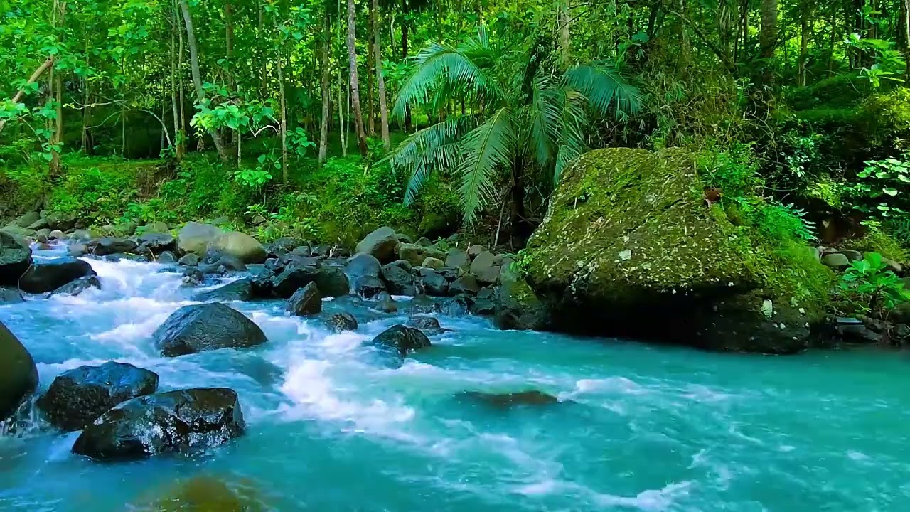 Nature's Calm - Sleep Like a Baby – This Forest Stream Sound Is a Total Game Changer - Deep Sleep