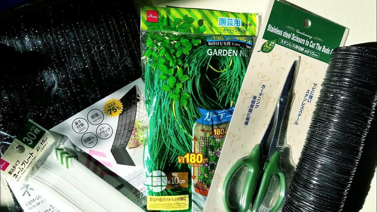 Twelve Dollar Tree deals under $1.25 - including gardening finds