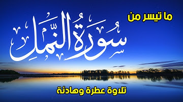 ولقد آتينا داود وسليمان علما 🎧 | تلاوة خاشعة ومريحة للقلب ❤️ | ما تيسر من سورة النمل معاذ مرسي