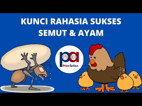 Rahasia Bertahan Hidup Di Tengah Krisis | Belajar Hidup Dari Semut Dan Ayam | Wisdom Of Life