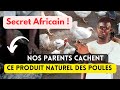 Ce produit naturel inconnu soigne toutes les maladies des poules secret africain