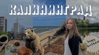 5 дней в Калининграде одна 👀 день рождения, зоопарк, Куршская коса, кофейни и музей