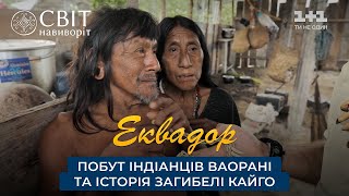 Быт индейцев ваорани и история гибели Кайго
