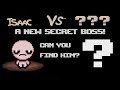 The Secret Final Boss!!! - The Binding of Isaac: WhyBirth (Mod)