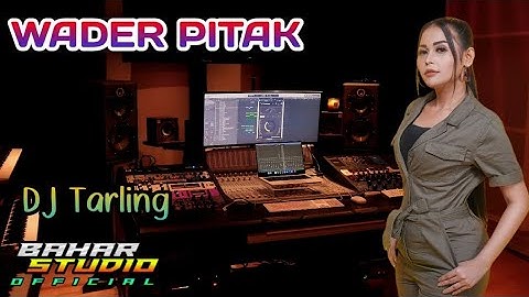WADER PITAK - DIAN ANIC // DJ TARLING REMIX