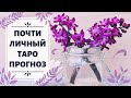 ПОЧТИ ЛИЧНЫЙ ТАРО ПРОГНОЗ 🔮 — ТРАНСФОРМАЦИЯ ДЕНЕГ 💵 и ЛЮБВИ ❤