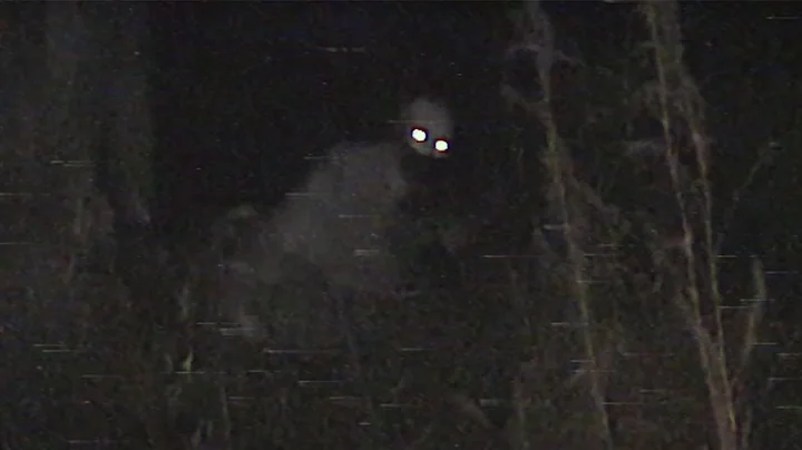 12 SCARIEST VIDEOS You’ll Regret Watching Alone