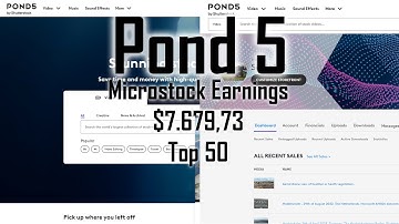 I made $7.679,73 with these 50 Videos on Pond 5.