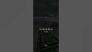 ومن يتق الله يجعل له مخرجا - تلاوة خاشعة بصوت ماهر المعيقلي