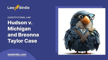Hudson v. Michigan and Breonna Taylor Case - Essay Example