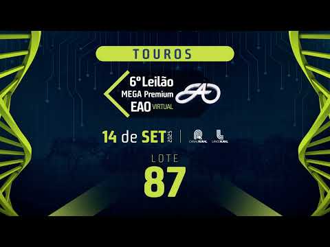 LOTE 87   MEGA LOTE