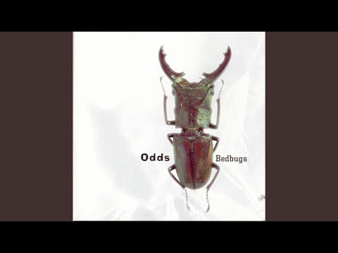Odds (2) — Jack Hammer