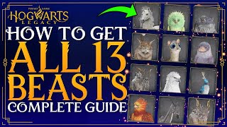 Hogwarts Legacy - How To Get ALL BEASTS - Complete Guide On All Beast Den Locations & How To Tame