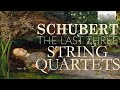 Schubert: The Last Three String Quartets