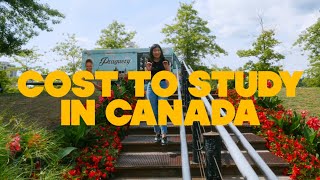 Cost to Study in Canada for International Students (2024 Update)